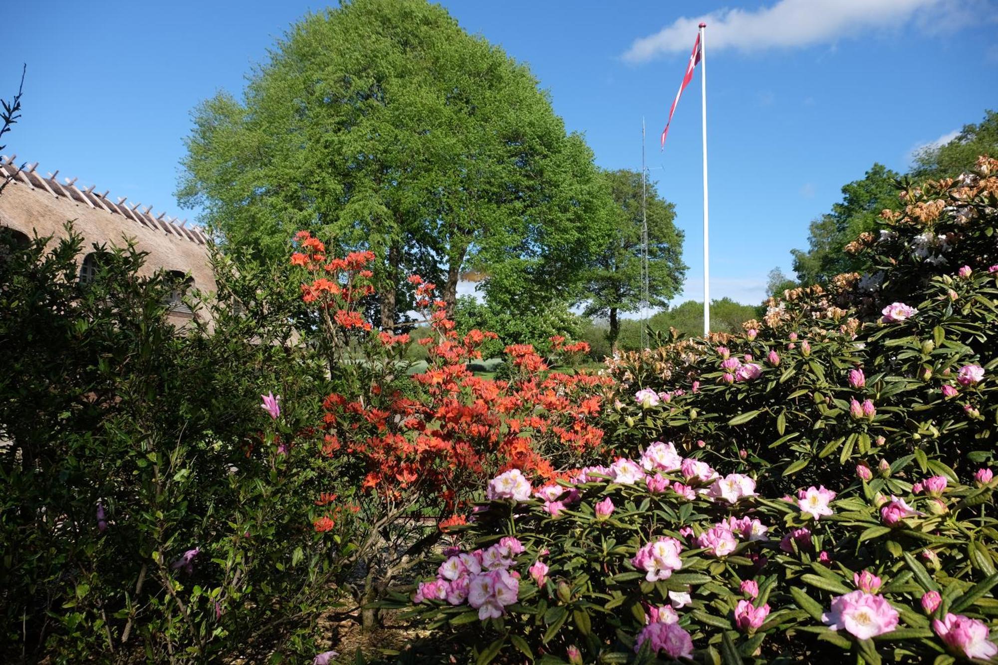 Billund Rooms Exterior foto